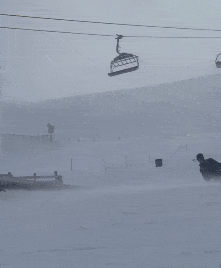 A Christmas Miracle: Nina and Shaun White Get Back Together Because Ecliptic is Back!